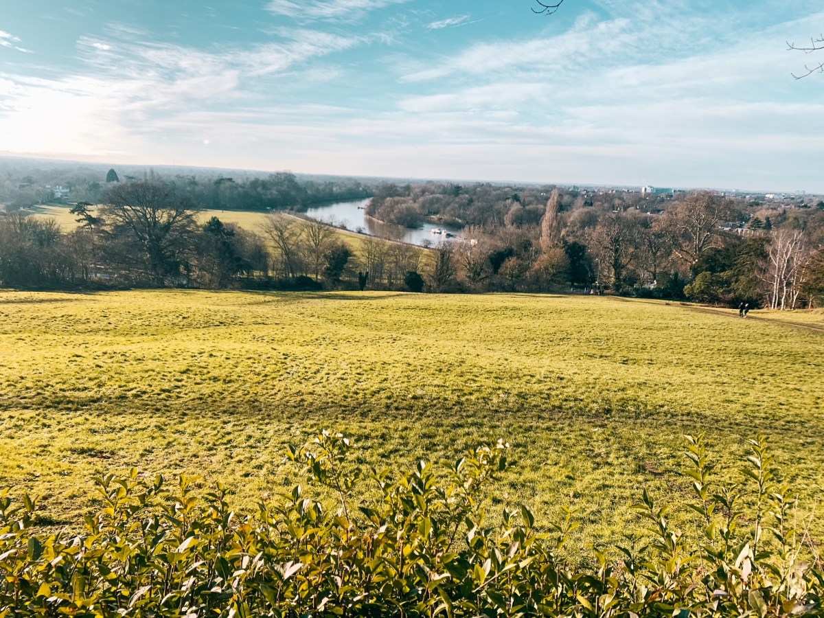Pasear por un parque con ciervos en libertad en Londres, una de las razones por las que visitar&nbsp;Richmond